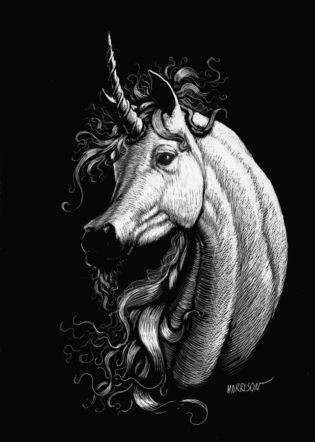 Arabian Unicorn Drawing by Stanley Morrison