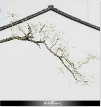 少即是多 摄于江苏 苏州 作者 唐城.