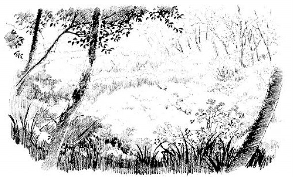 宫崎骏的御用背景师：男鹿和雄一直觉得宫崎骏电影里的背景好漂亮！原来就是他画的！还没有上色的手稿