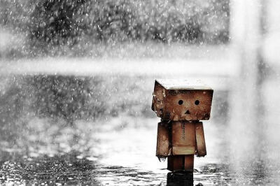 Danbo