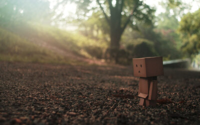 Danbo