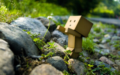 Danbo