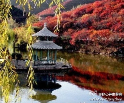【成熟感悟】1、果实的成熟，不是颜色美丽了，而是味道甘甜了。2、孩子的成熟，不是年龄长大了，而是冷静克制了。3、女人的成熟，不是相夫教子了，而是溫良贤淑了。4、男人的成熟，不是心平气和了，而是客观公正了。…