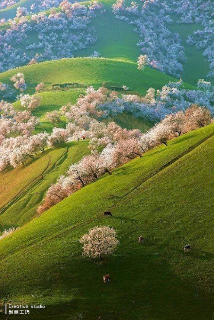 油画一样的天然美景