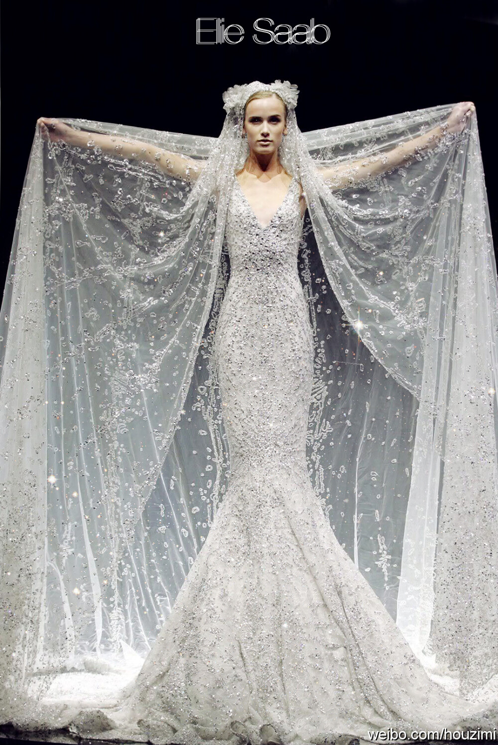 Elie Saab Wedding Dress.