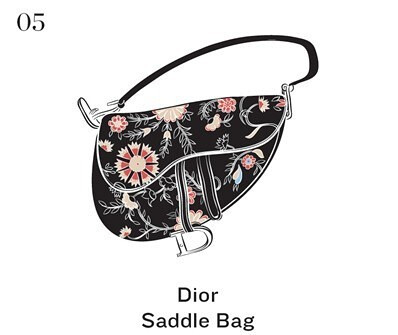 Dior Saddle Bag