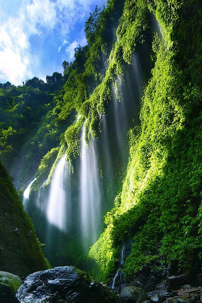 Madakaripura Waterfall, East Java, Indonesia 印度尼西亚