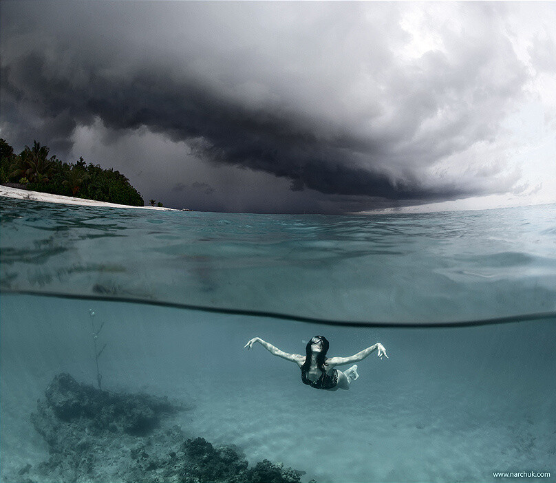 【摄影】《On the wings of the storm》，来自俄罗斯野生动物及水下摄影师Andrey Narchuk