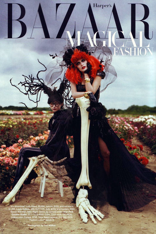 英国时尚摄影师蒂姆·沃克（ Tim Walker ）拍摄的一组作品。模特身着 Chanel和Alexander McQueen 的衣服，造型带有一股阴郁的哥特风格。是否感觉很“剪刀手爱德华”？确实，导演蒂姆·伯顿（Tim Burton）参与了这组片子，不但打造了模特的剪刀手造型，本人也上镜参与了拍摄。