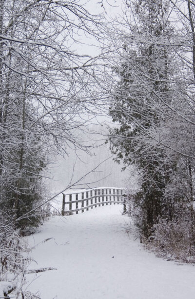 如果有一天我家门口下了雪，那就是世界末日了。