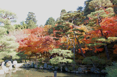 京都 南禅寺。秋天真的很美。这个季节刚刚好。