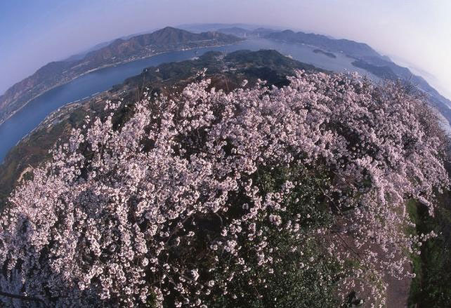 日本最美乡村