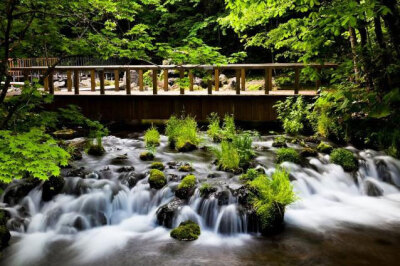 溪水流过的村庄》作者：新津隆将 北海道京极町