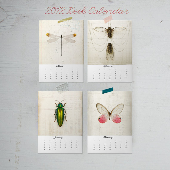 爱昆虫的人会喜欢的日历