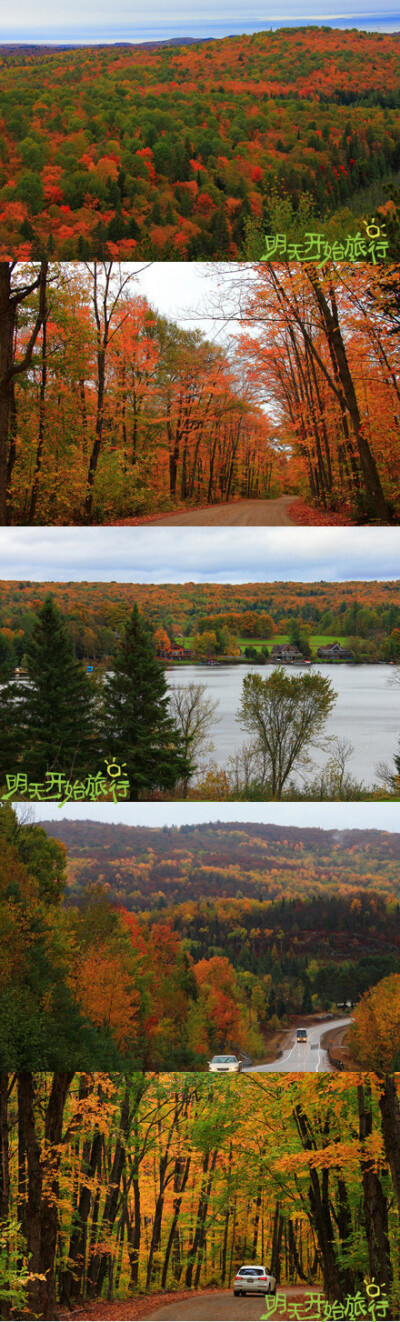 枫情万种的阿冈昆