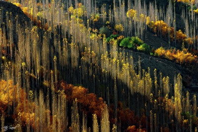 秋 by Atif Saeed