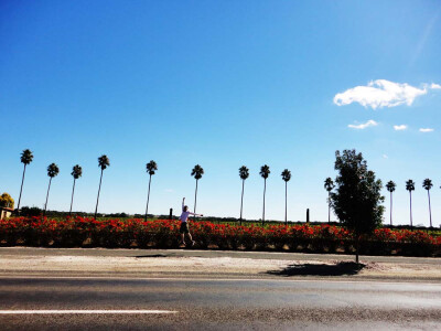 BAROSSA DE 风景