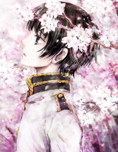 樱花开的是那么美丽