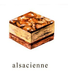 alsacienne 阿尔萨斯