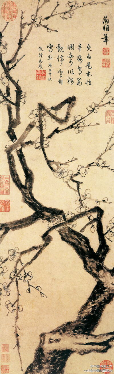 明 文徵明《冰姿倩影图》--- 文徵明的这幅墨梅作品古朴质拙，韵高神清，枝干以墨笔直写，浓墨点染，梅花圈笔成瓣，墨点花心。以朗朗清气、疏影暗香，衬出梅的铮铮傲骨，是他的传世国画精品。