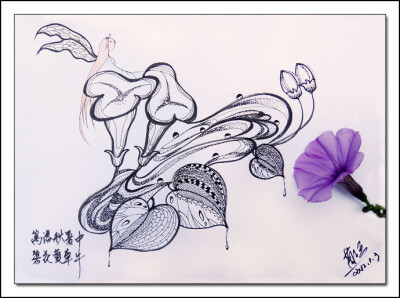 “篱落秋暑中，碧花蔓牵牛”。其实现实中的牵牛花极其霸道，一旦攀上其它植物，定必取而代之。不过牵牛花的确好靓，好雅致，还有点小资的意味，也是画家们争相绘画的素材之一。村里头牵牛花多的是，所以常常会被我请…