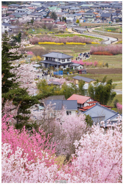 連靈魂也會被絆住的地方