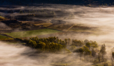 "Landscape in Fog"