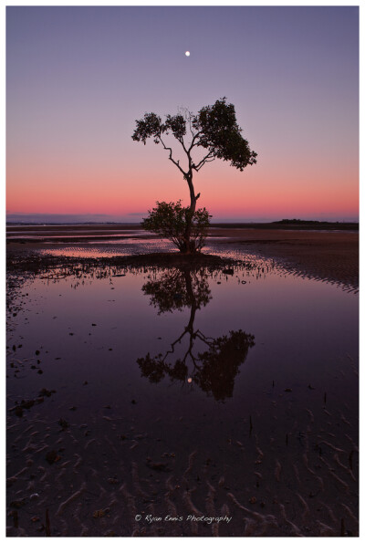 "Low Tide"