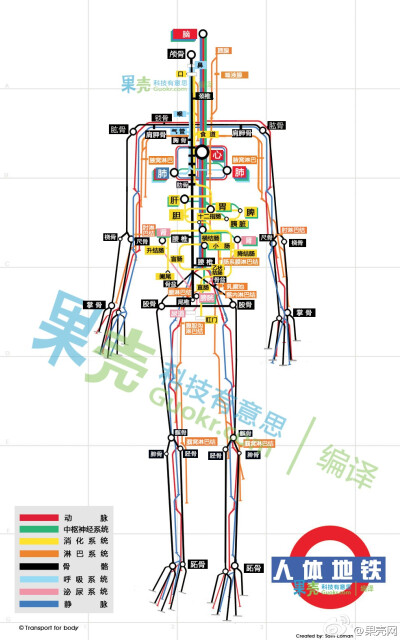 果殼網的人體地鐵圖