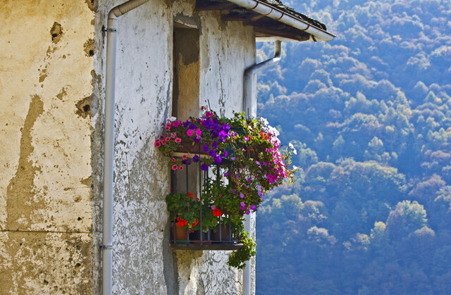 意大利，阳台一瞥.Balcony