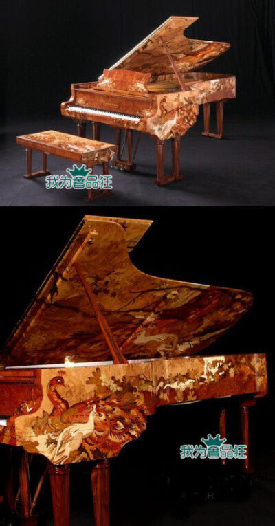 【世界上最贵的钢琴】施坦威源自德国，是世界上最富传统的顶级钢琴品牌，被称为“皇冠上的钻石”。世界上最贵的钢琴是以著名当代艺术大师石齐创作的《孔雀》为设计蓝本的施坦威艺术外壳钢琴“和谐之声”。