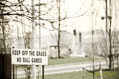 《KEEP OFF THE GRASS》