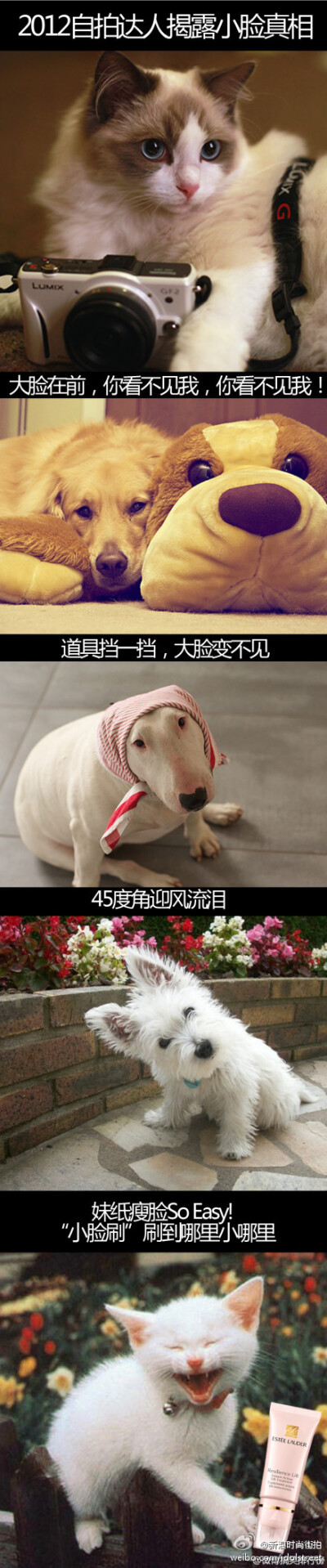 2012自拍达人揭露小脸真相