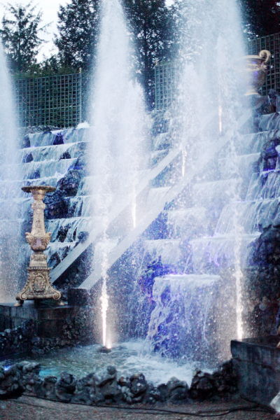 The cherry blossom girl