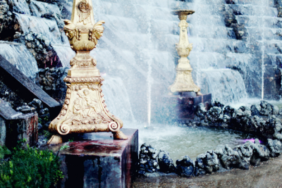 The cherry blossom girl