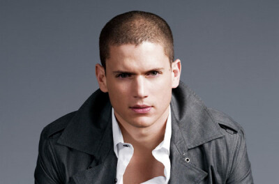 Wentworth miller 《越狱》男主~~