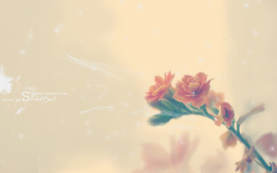 他依然是那个翩跹白衣少年，站在回忆里，永不老去。