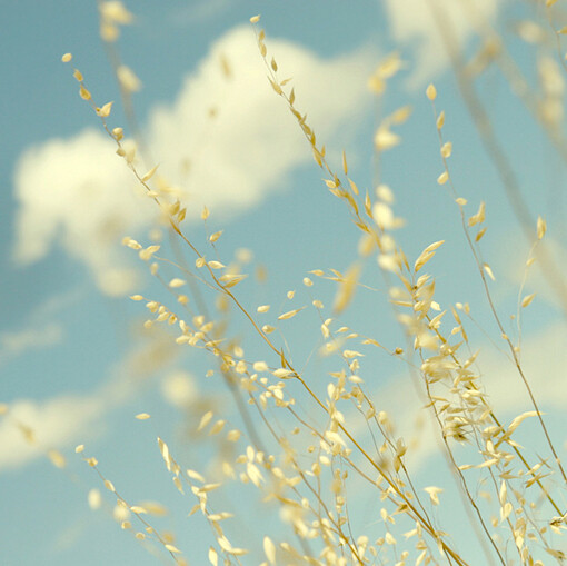 总是微笑的看着你 情意总是轻易就洋溢眼底