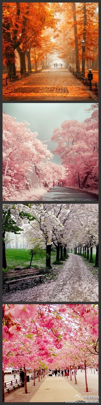 漫步其中人都会醉的、太迷人了