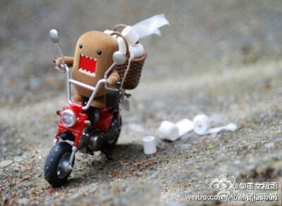 闪开！！！！！！送厕纸的来了！！！！！主人，你hold住呀！！！！