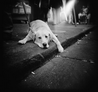 HOLGA 漏光大师 – Super LOMO 色彩