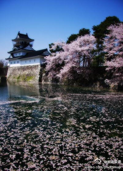 落花有意随流水，流水无心恋落花.