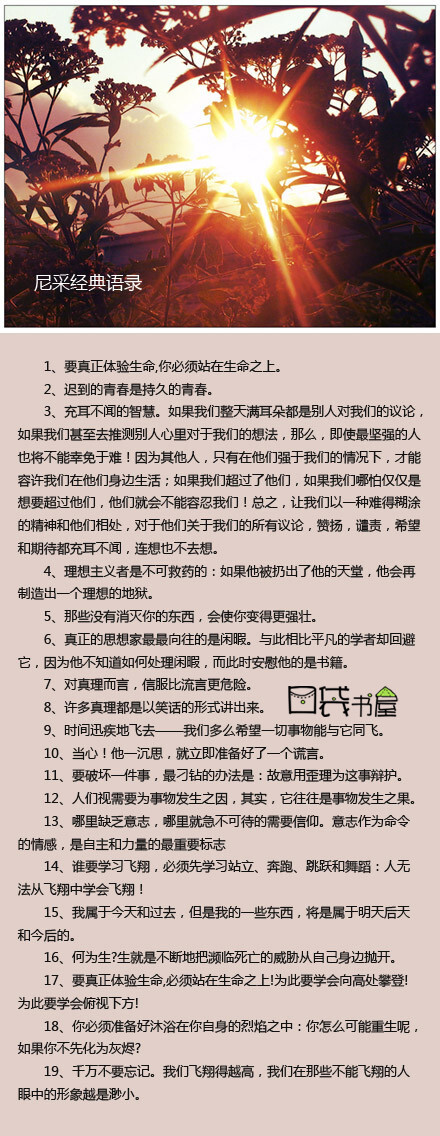 【尼采经典语录】谁要学习飞翔，必须先学习站立、奔跑、跳跃和舞蹈：人无法从飞翔中学会飞翔！