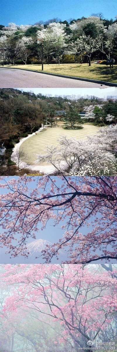 待到山花烂漫时。