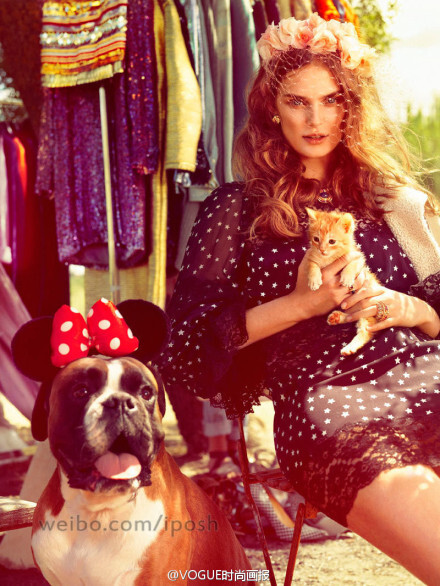 美人和萌物的和谐