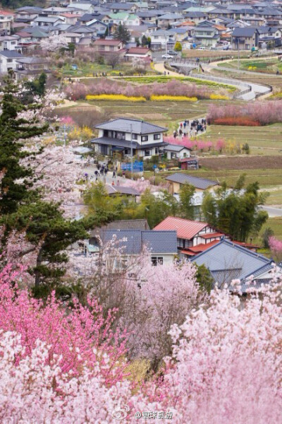 待到山花爛漫時