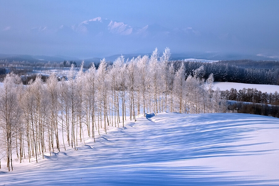 北海道冬天 作者 kent shiraishi