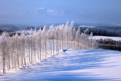 北海道冬天 作者 kent shiraishi