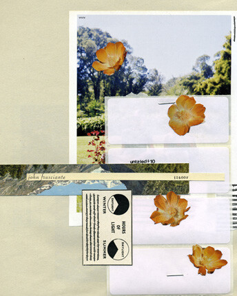 Nicola Starr IllustrationA series of collages based upon the phrase Stop To Appreciate The Echo, or S.T.A.T.E Magazine