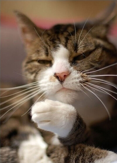 尔等先行告退，朕要休息了